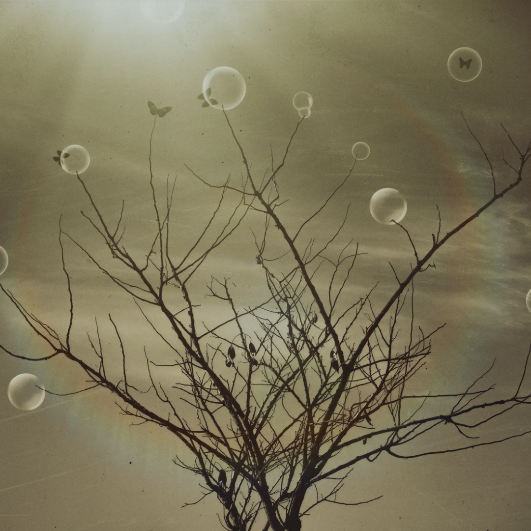 The tree of dreams