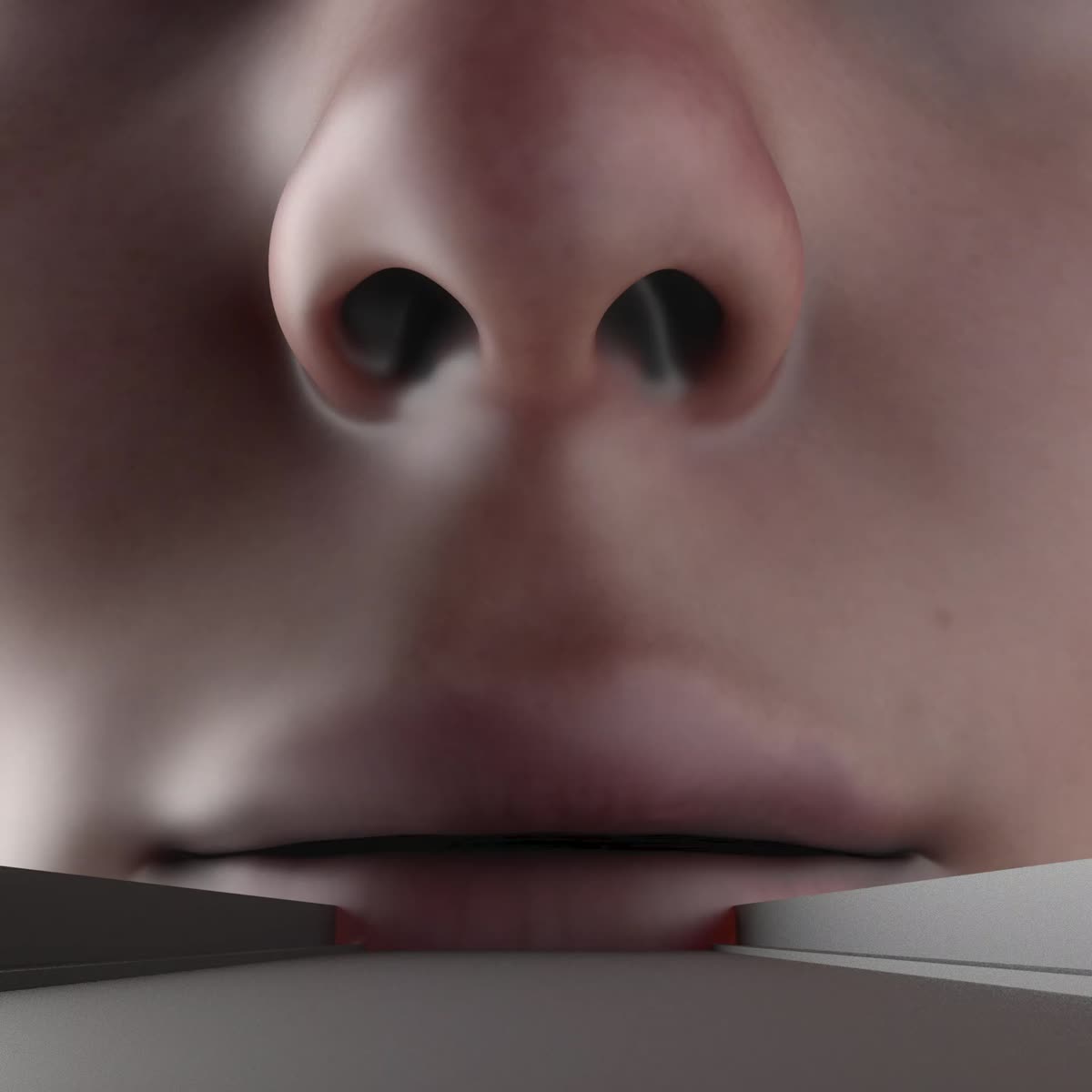 Swallow Men
